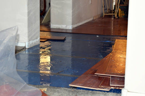 Professional Emergency Water Damage Restoration technician working in Harlan, KY